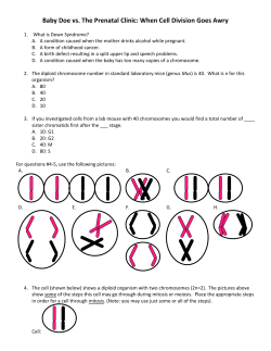 Baby Doe vs. The Prenatal Clinic: When Cell Division