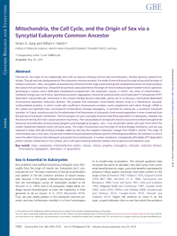 Mitochondria, the Cell Cycle, and the Origin of Sex via a Syncytial
