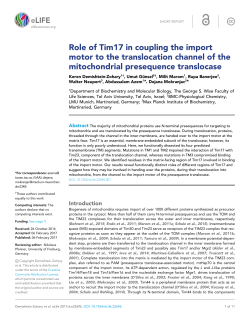 Role of Tim17 in coupling the import motor to the translocation