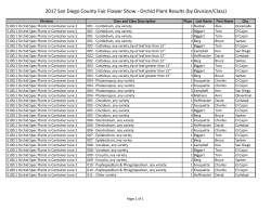 2017 San Diego County Fair Flower Show