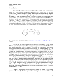 Interaction of BSA + CaCl2 with Stains-all