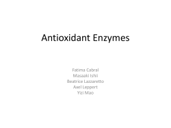 Antioxidant Enzymes