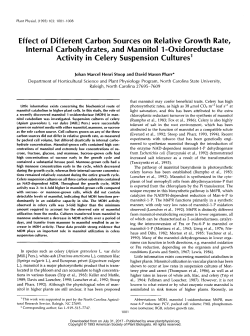 Effect of Different Carbon Sources on Relative Growth Rate, Interna1