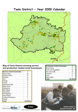 Central Tsolo District production businesses
