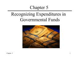 Governmental Fund