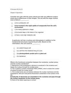 SI Session 09/16/15 Chapter 6 Questions a) be a prokaryotic cell b