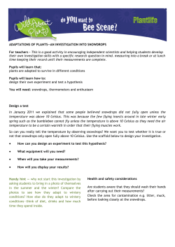 How have snowdrops adapted for their