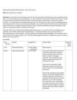 Cub Scout Roundtable Guide AOL to Boy Scout