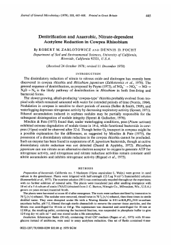Denitrification and Anaerobic, Nitrate-dependent