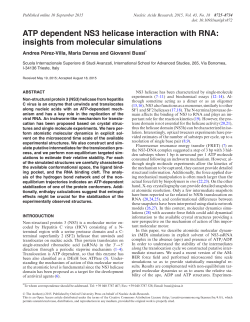 ATP dependent NS3 helicase interaction with RNA