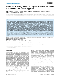 Maximum Running Speed of Captive Bar
