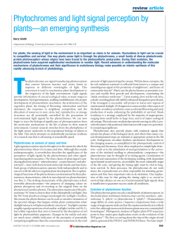 Phytochromes and light signal perception by plants&mdash;an emerging