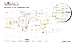 The Production Life Cycle of Beef and Dairy Products