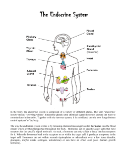 10. Endocrine System