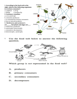 1. According to the food web to the right, which of the following