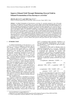 Improve Ethanol Yield Through Minimizing Glycerol Yield in Ethanol