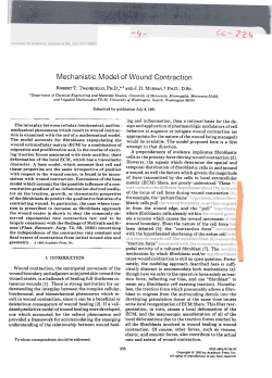 Mechanistic Model of Wound Contraction
