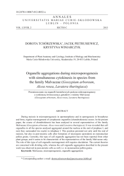 Organelle aggregations during microsporogenesis