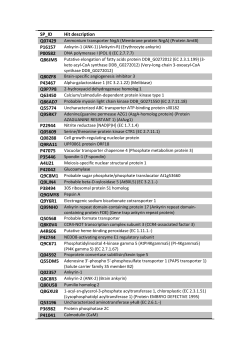 SP_ID Hit description Q07429 Ammonium transporter NrgA