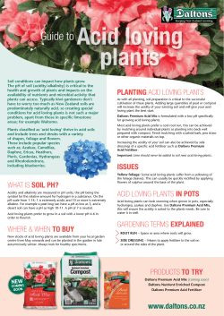Acid loving plants