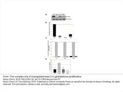 From: The complex role of transglutaminase 2 in glioblastoma