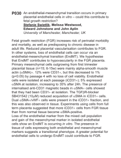 An endothelial-mesenchymal transition occurs in primary placental