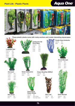 71 Plant Life - Plastic Plants