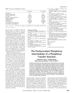 The Pentacovalent Phosphorus Intermediate of a Phosphoryl