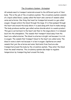 Circulatory System