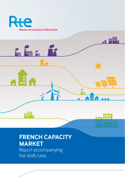 french capacity market