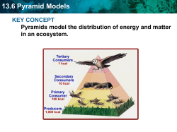 13.6 Pyramid Models Create your own pyramid model