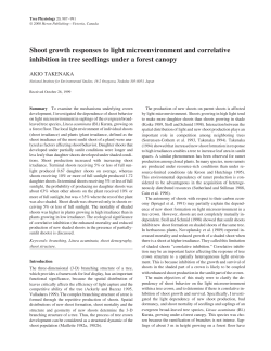 Shoot growth responses to light microenvironment and correlative