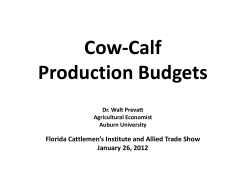 Cow-Calf Production Budgets