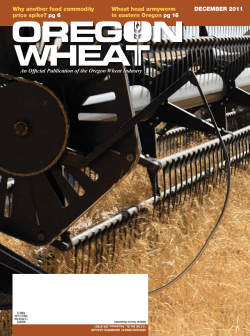 DECEMBER 2011 Why another food commodity price spike? pg 6