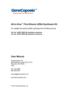 First-Strand cDNA Synthesis Kit