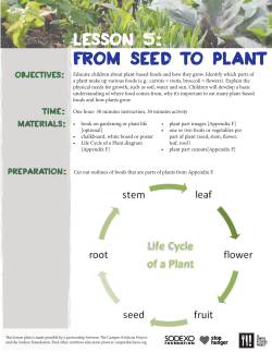 From seed to plant - The Campus Kitchens Project