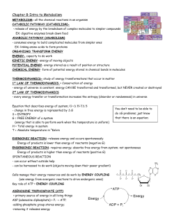 metabolism notes ap