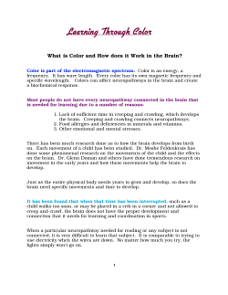 Learning Through Color