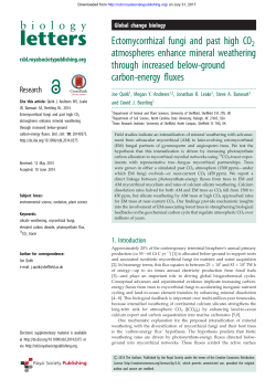Ectomycorrhizal fungi and past high CO2 atmospheres enhance