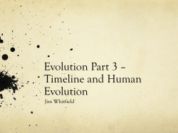 Evolution Part 3 &ndash; Timeline and Human Evolution