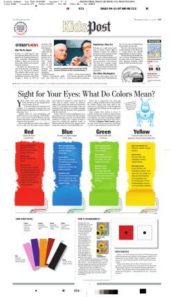 Sight for Your Eyes: What Do Colors Mean?