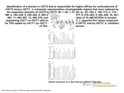 Identification of a domain in rOCT2 that is responsible for higher