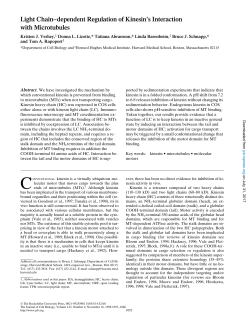 Light Chain–dependent Regulation of Kinesin`s Interaction with