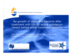 Re-growth of algae and bacteria after treatment with UV