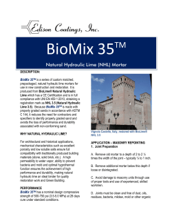 BioMix 35 NHL Mortar