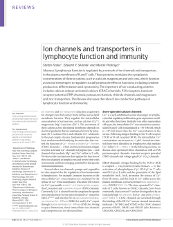 Ion channels and transporters in lymphocyte function and