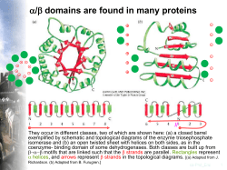 Protein structure is conceptually divided into four