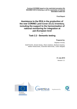 Final Report of the Semantic Testing of the EAGLE Matrix