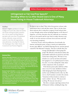 Infringement or Fair Use/Free Speech? Deciding When to Go After