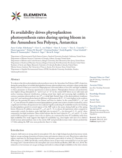 Fe availability drives phytoplankton photosynthesis rates during